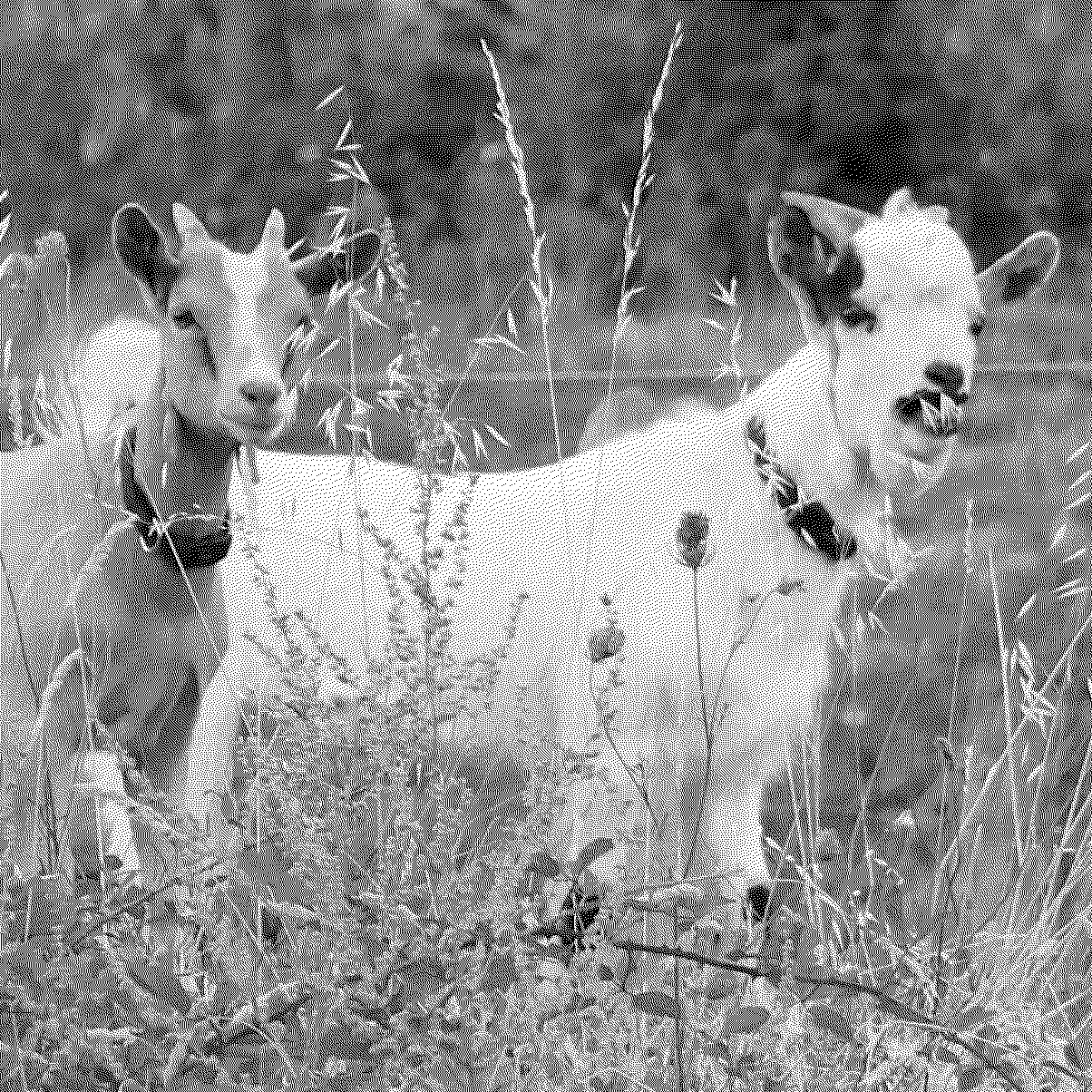 ...Bounty et Flocon